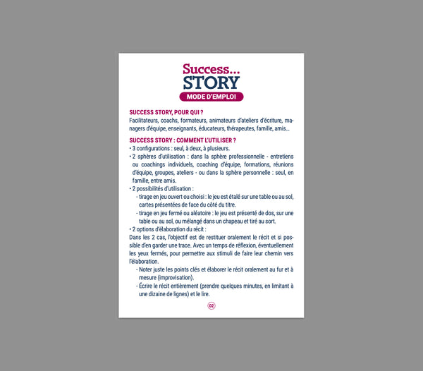 Visual Reference: Success Story