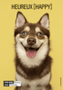 Souls Dogs